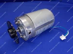 Driver Motor